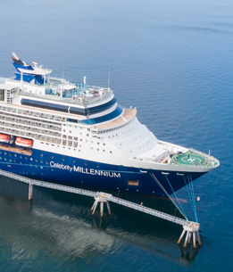 Celebrity Millennium