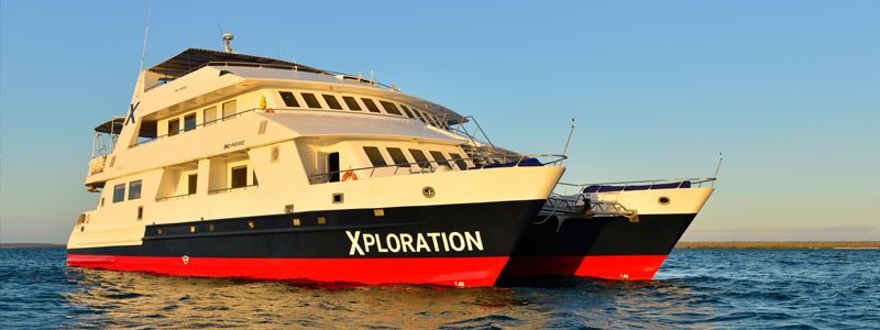 Celebrity Xploration