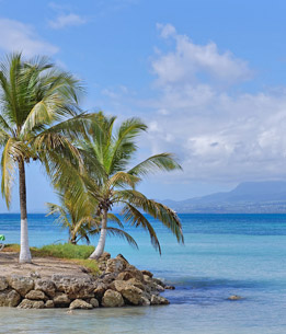 Beispielhafte Impression eines Stopps in Pointe-a-Pitre/ Guadeloupe