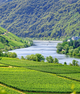 Beispielhafte Impression eines Stopps in Cochem