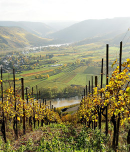 Beispielhafte Impression eines Stopps in Traben Trarbach