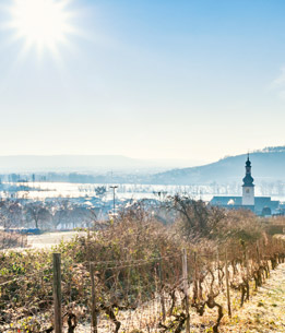 Beispielhafte Impression eines Stopps in Rüdesheim