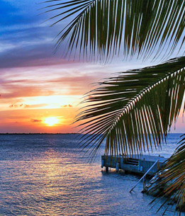 Beispielhafte Impression eines Stopps in Kralendijk/ Bonaire