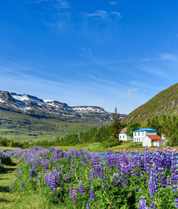 Beispielhafte Impression eines Stopps in Seyðisfjörður
