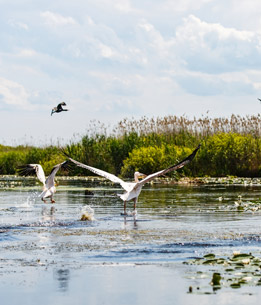 Beispielhafte Impression eines Stopps in Sulina