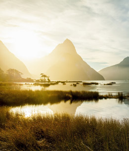 Beispielhafte Impression eines Stopps in Milford Sound