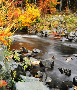 Beispielhafte Impression eines Stopps in Saint John/ Bay of Fundy