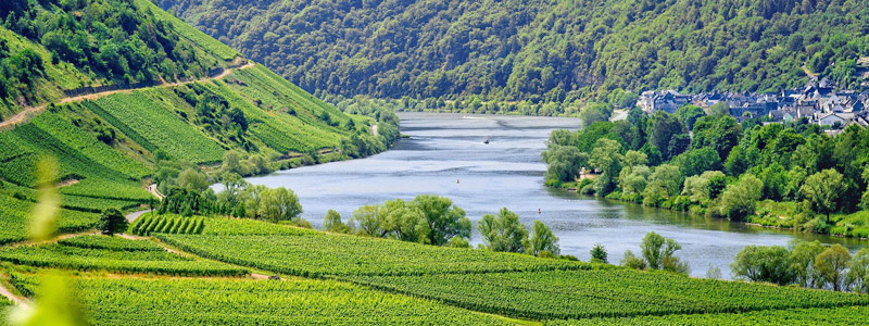 Beispielhafte Impression eines Stopps in Cochem