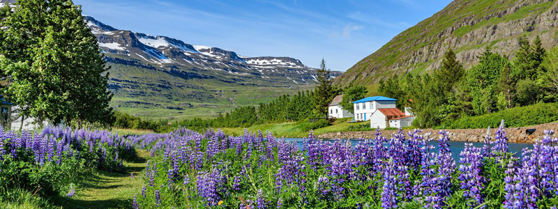 Beispielhafte Impression eines Stopps in Seyðisfjörður