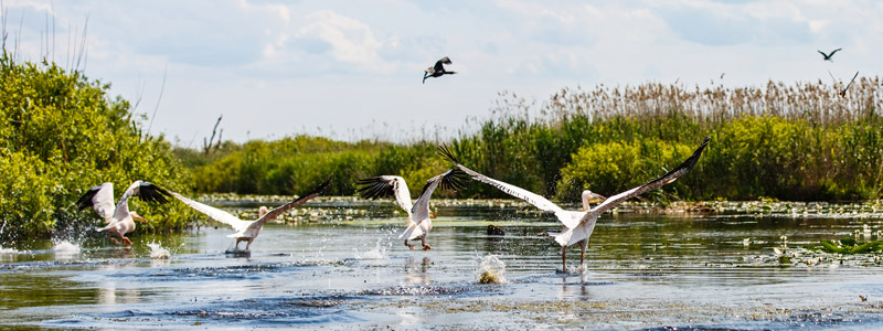 Beispielhafte Impression eines Stopps in Sulina