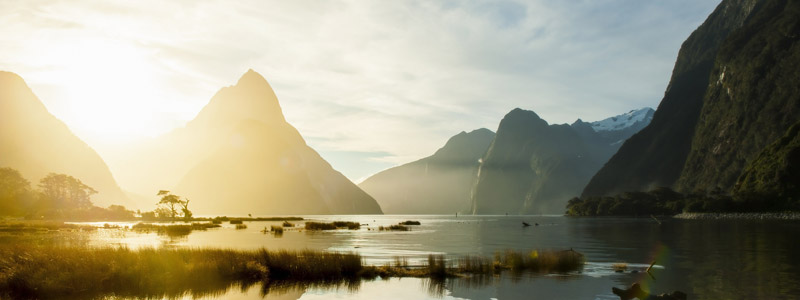 Beispielhafte Impression eines Stopps in Milford Sound