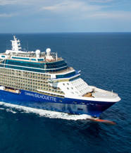 Celebrity Silhouette