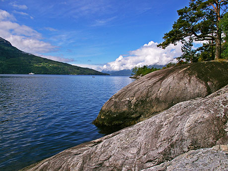 Ausblick am Hardangerfjord