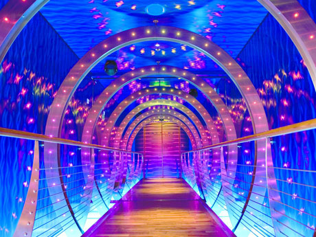 Time Tunnel zur Anytime Bar