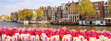 Tulpen in Amsterdam